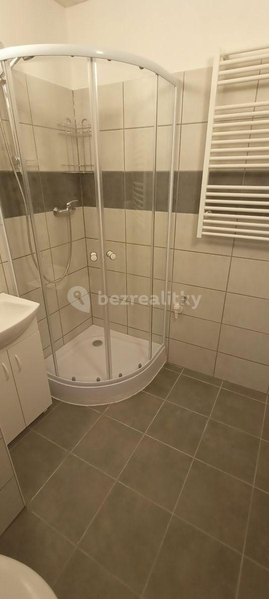 1 bedroom with open-plan kitchen flat to rent, 45 m², Letovská, Prague, Prague