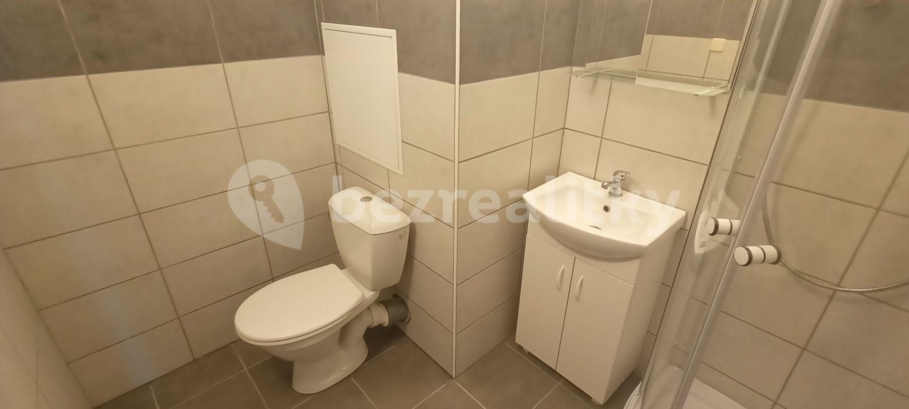 1 bedroom with open-plan kitchen flat to rent, 45 m², Letovská, Prague, Prague