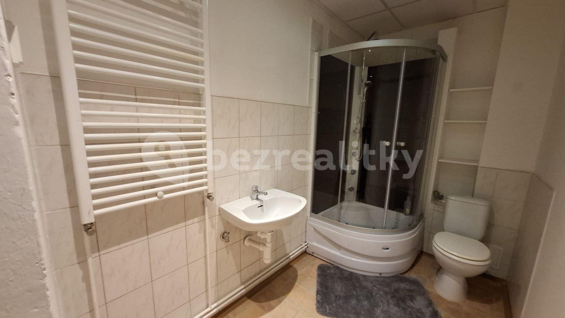 1 bedroom with open-plan kitchen flat to rent, 45 m², Hanychovská, Liberec, Liberecký Region