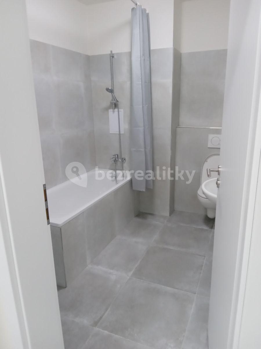 Studio flat to rent, 38 m², V Pitkovičkách, Prague, Prague