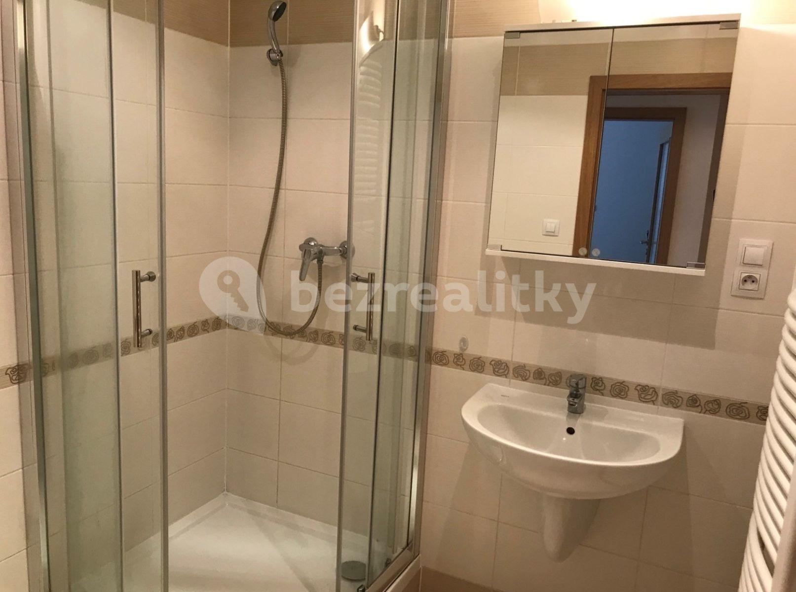 1 bedroom with open-plan kitchen flat to rent, 60 m², Modenská, Prague, Prague