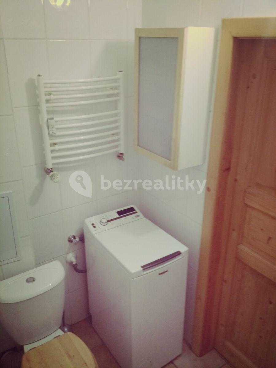 1 bedroom with open-plan kitchen flat to rent, 44 m², Na Královce, Prague, Prague