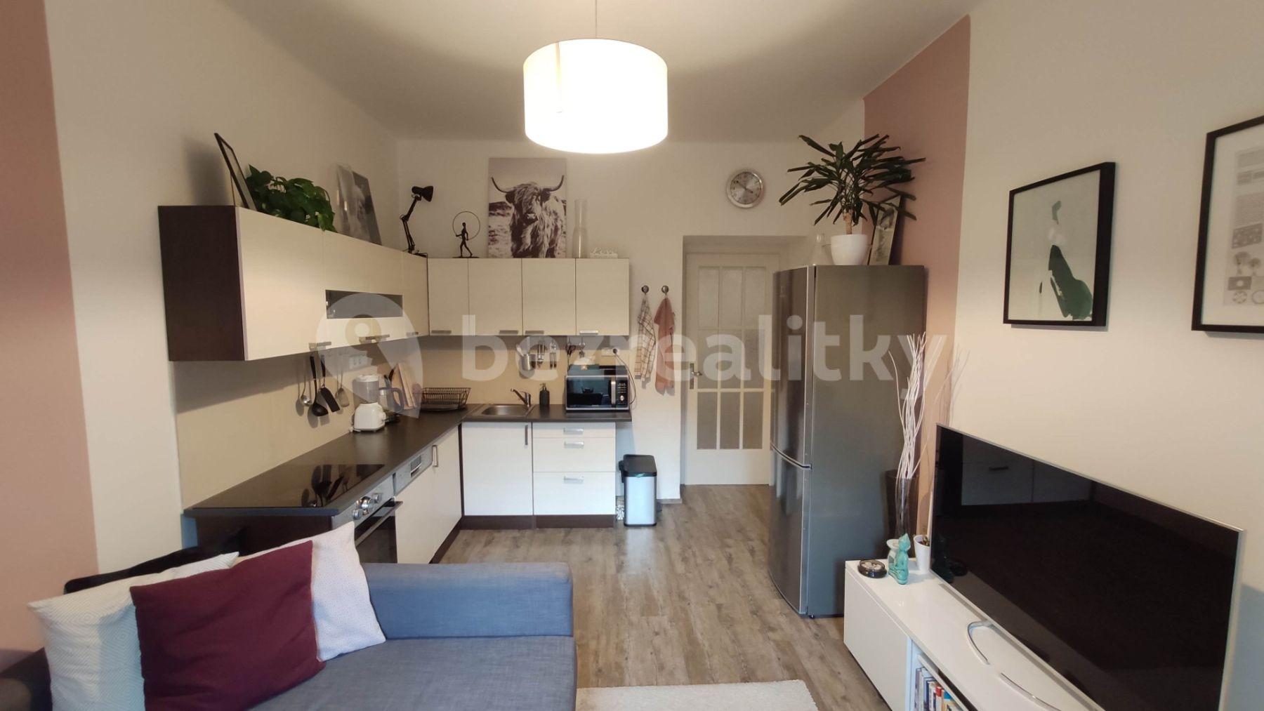 1 bedroom with open-plan kitchen flat to rent, 50 m², Jeseniova, Prague, Prague