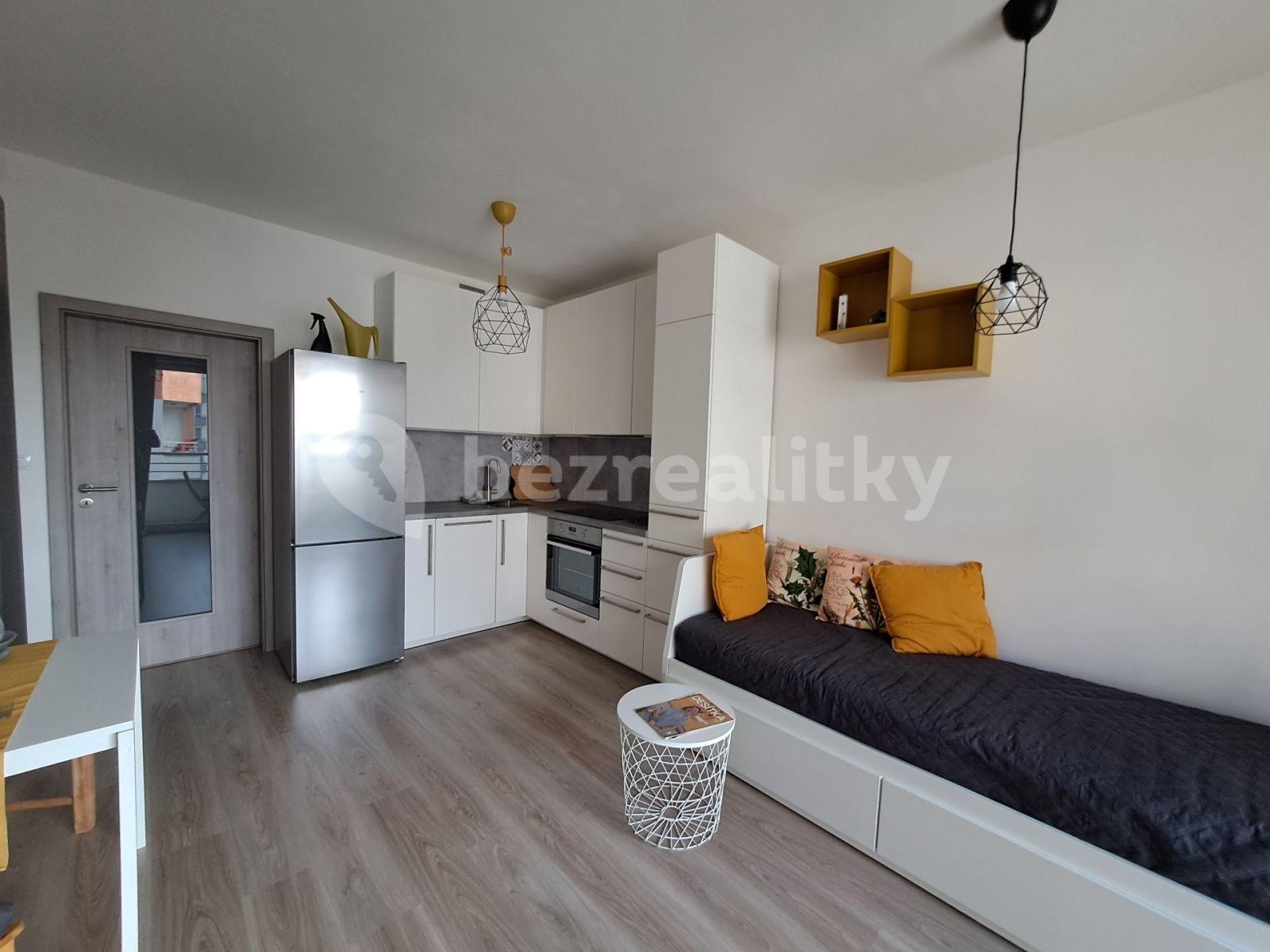 Studio flat to rent, 30 m², Petrohradská, Prague, Prague