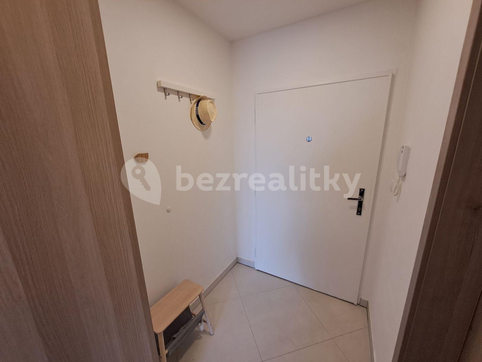 Studio flat to rent, 30 m², Petrohradská, Prague, Prague