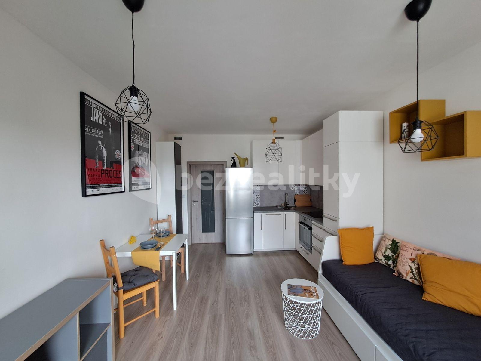 Studio flat to rent, 30 m², Petrohradská, Prague, Prague