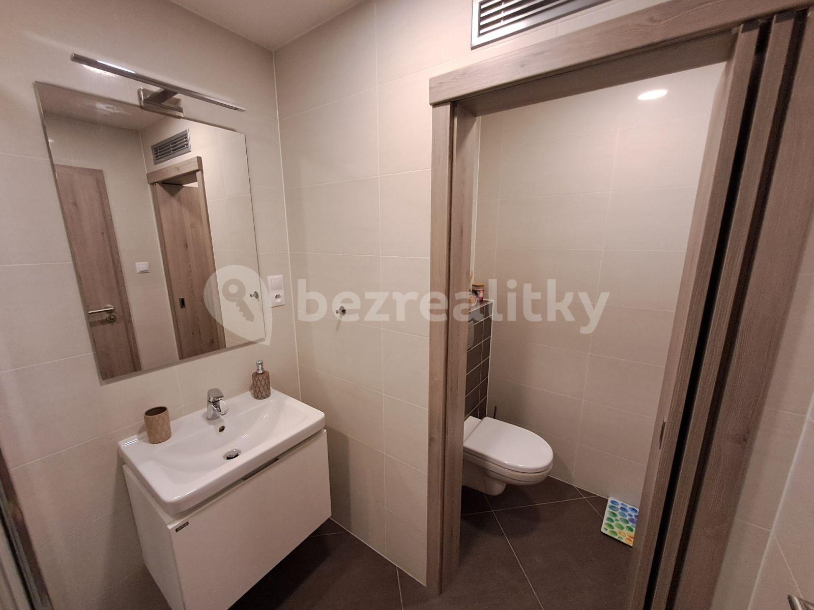 Studio flat to rent, 30 m², Petrohradská, Prague, Prague