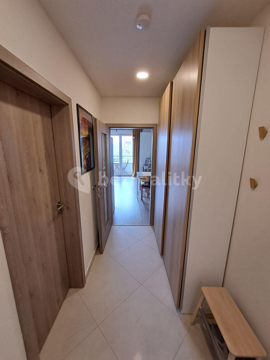 Studio flat to rent, 30 m², Petrohradská, Prague, Prague