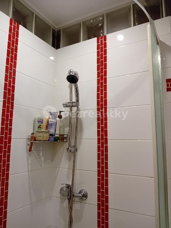 1 bedroom with open-plan kitchen flat to rent, 40 m², Cholupická, Prague, Prague