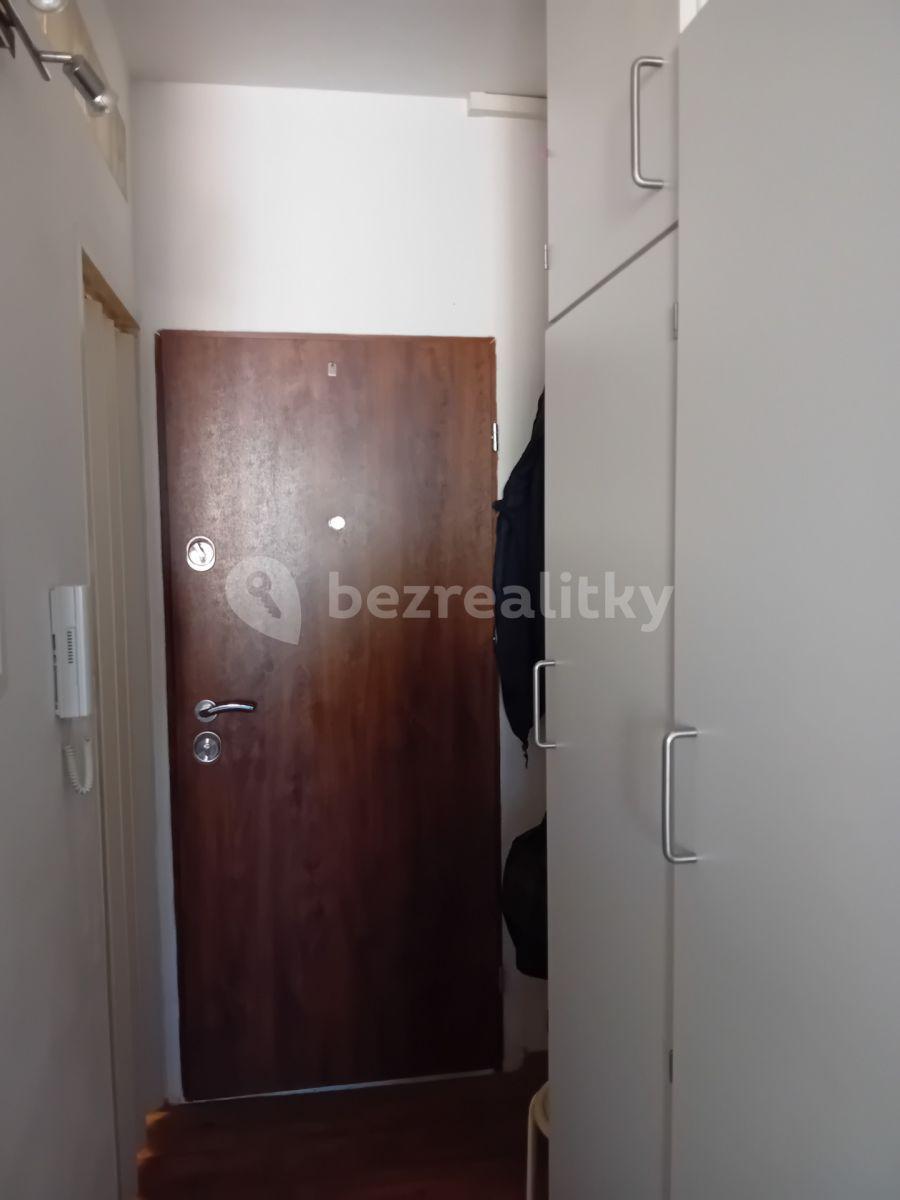 1 bedroom with open-plan kitchen flat to rent, 40 m², Cholupická, Prague, Prague