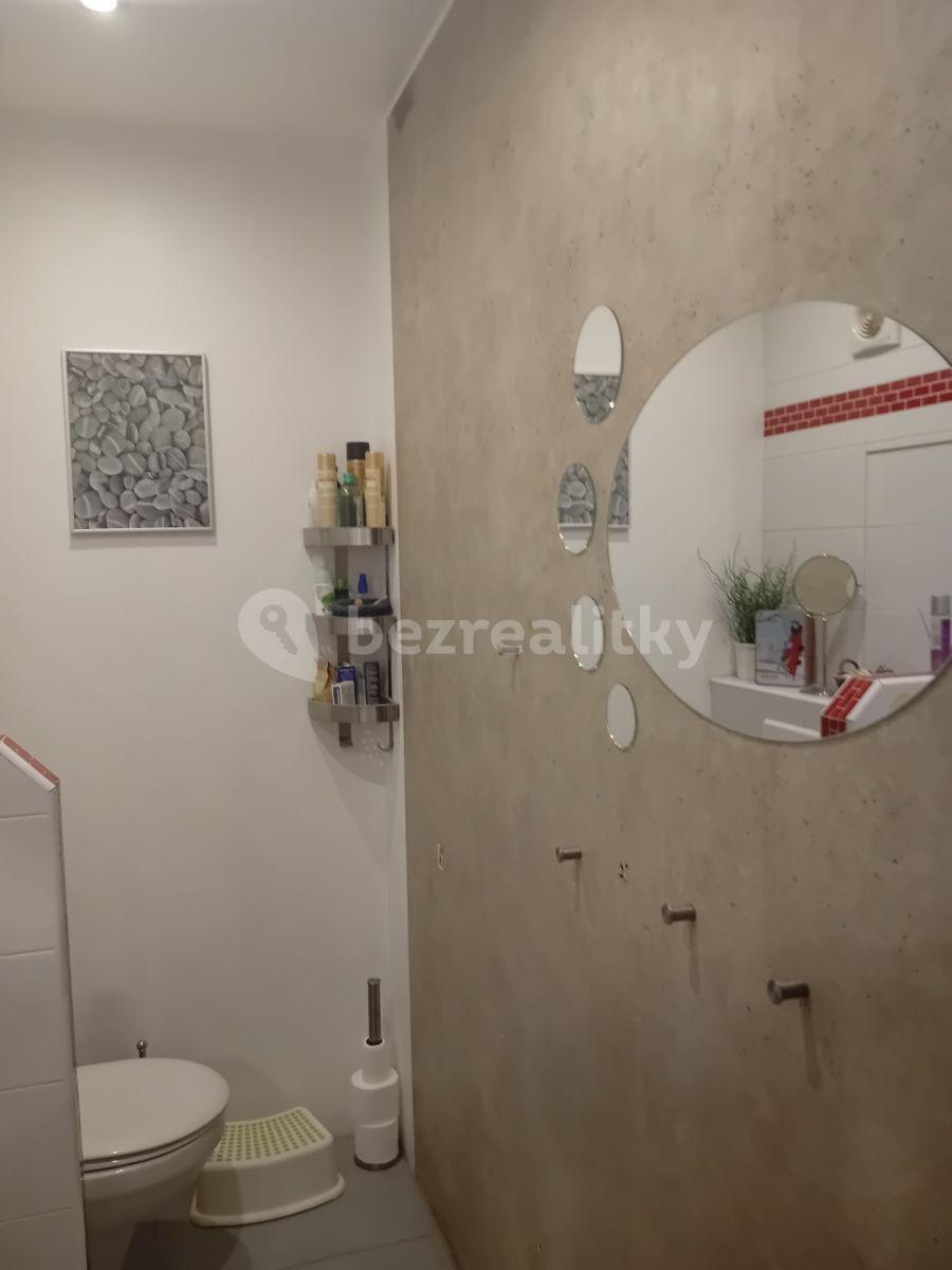 1 bedroom with open-plan kitchen flat to rent, 40 m², Cholupická, Prague, Prague