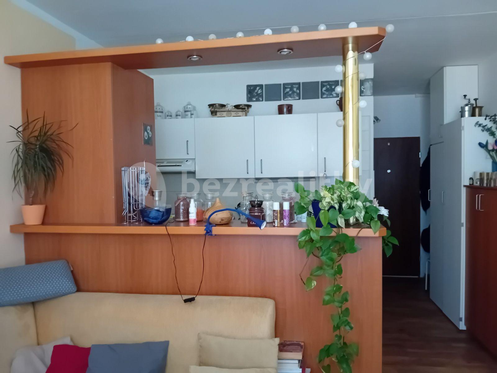 1 bedroom with open-plan kitchen flat to rent, 40 m², Cholupická, Prague, Prague