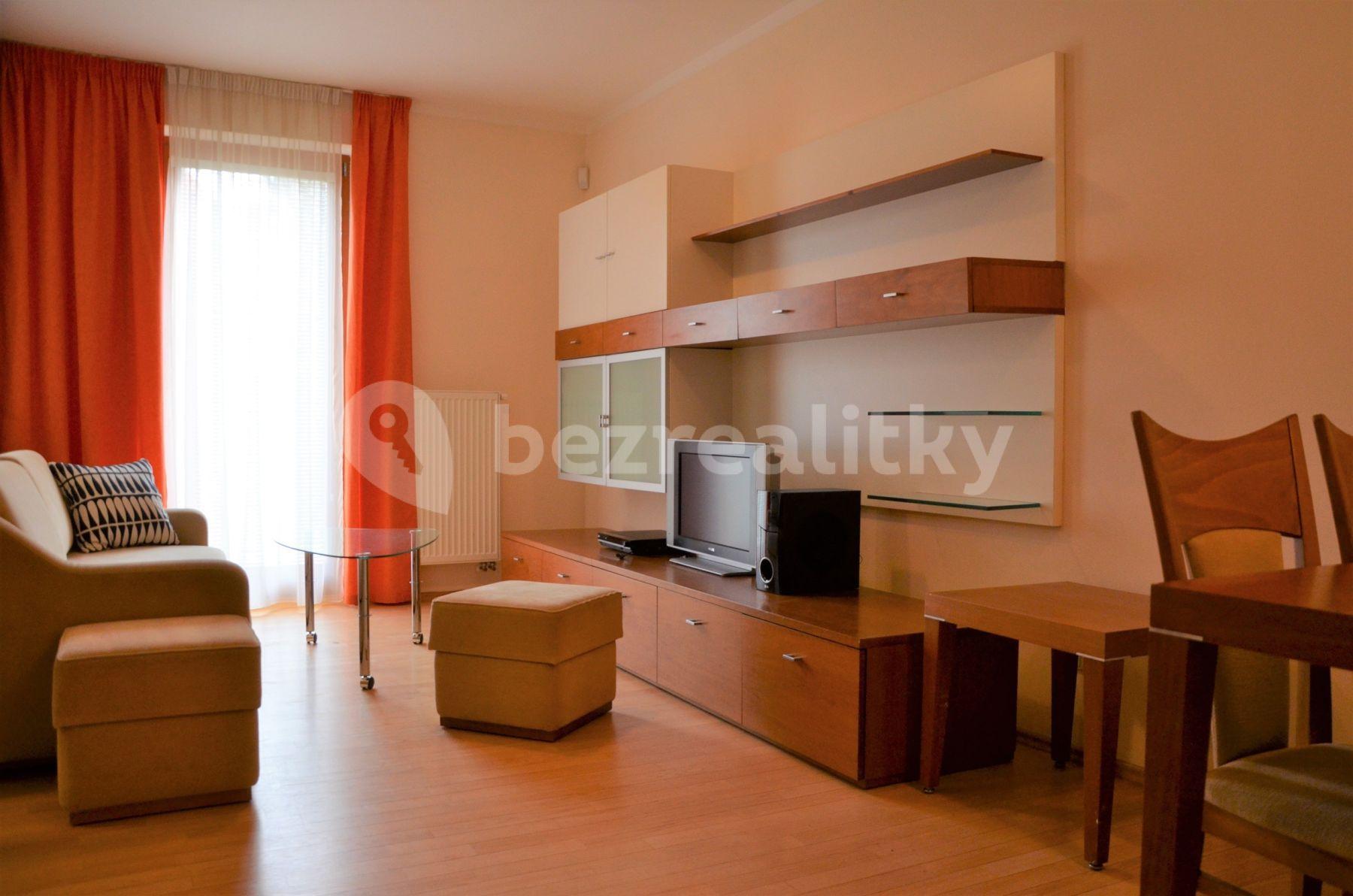 1 bedroom with open-plan kitchen flat to rent, 58 m², Pod Karlovem, Prague, Prague