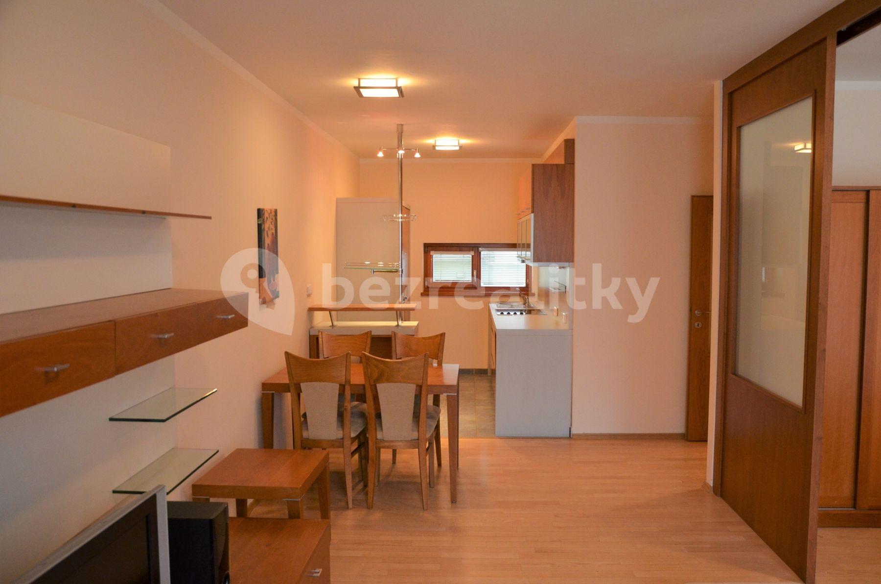 1 bedroom with open-plan kitchen flat to rent, 58 m², Pod Karlovem, Prague, Prague