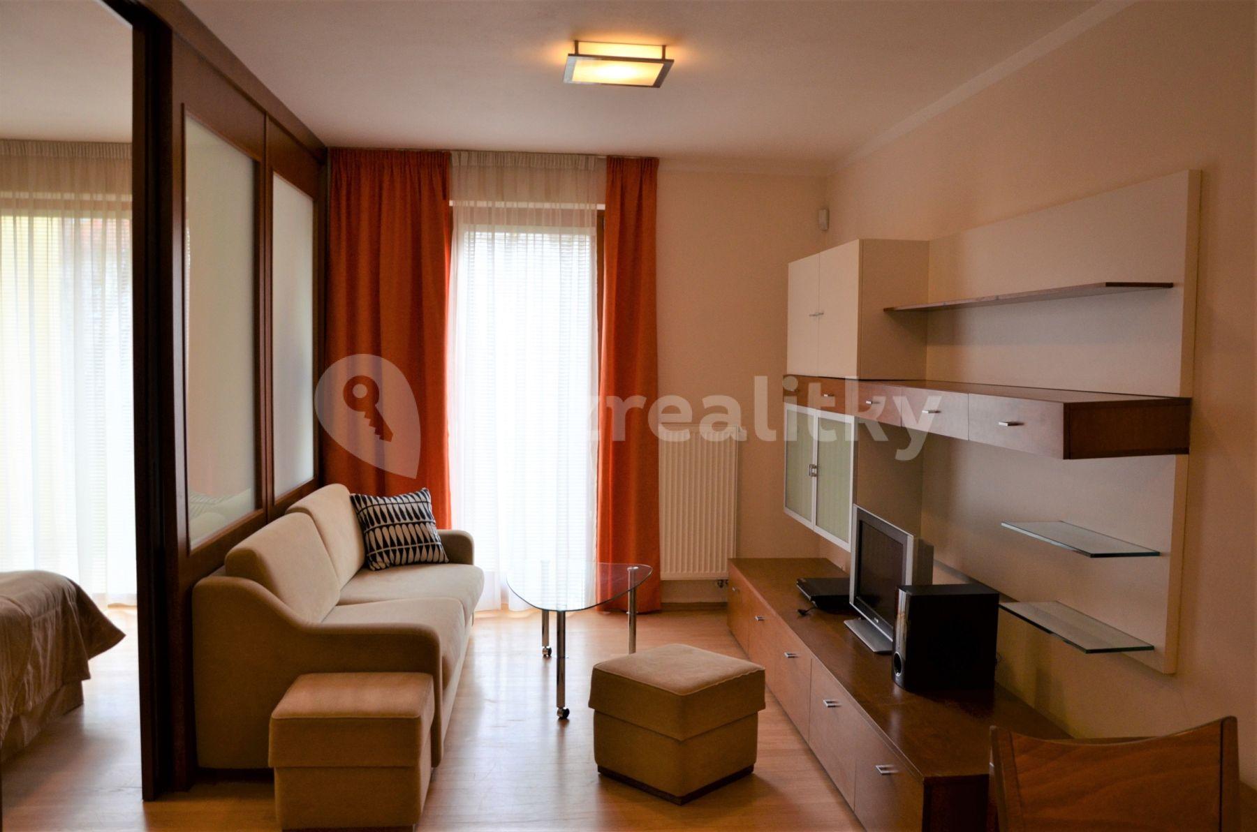 1 bedroom with open-plan kitchen flat to rent, 58 m², Pod Karlovem, Prague, Prague