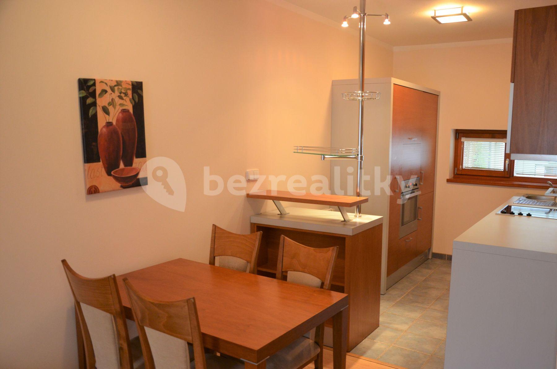 1 bedroom with open-plan kitchen flat to rent, 58 m², Pod Karlovem, Prague, Prague