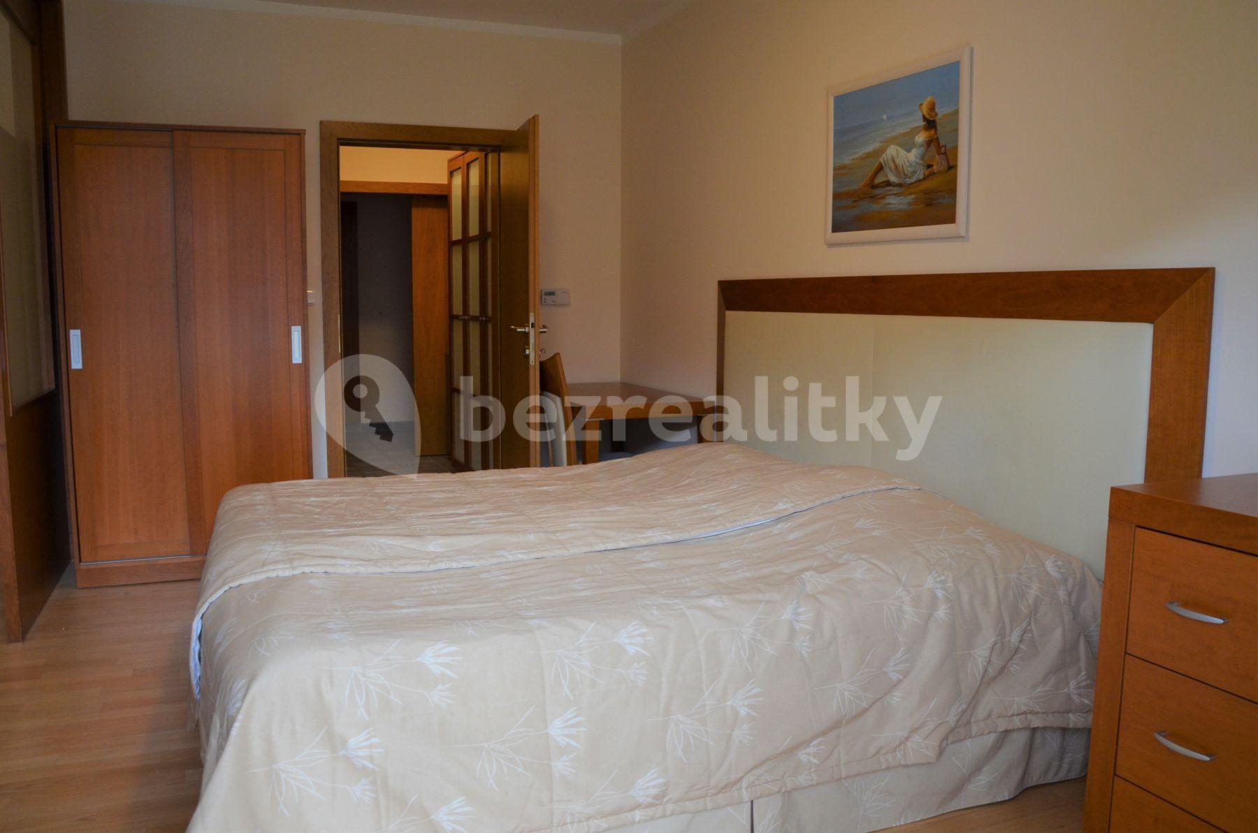 1 bedroom with open-plan kitchen flat to rent, 58 m², Pod Karlovem, Prague, Prague