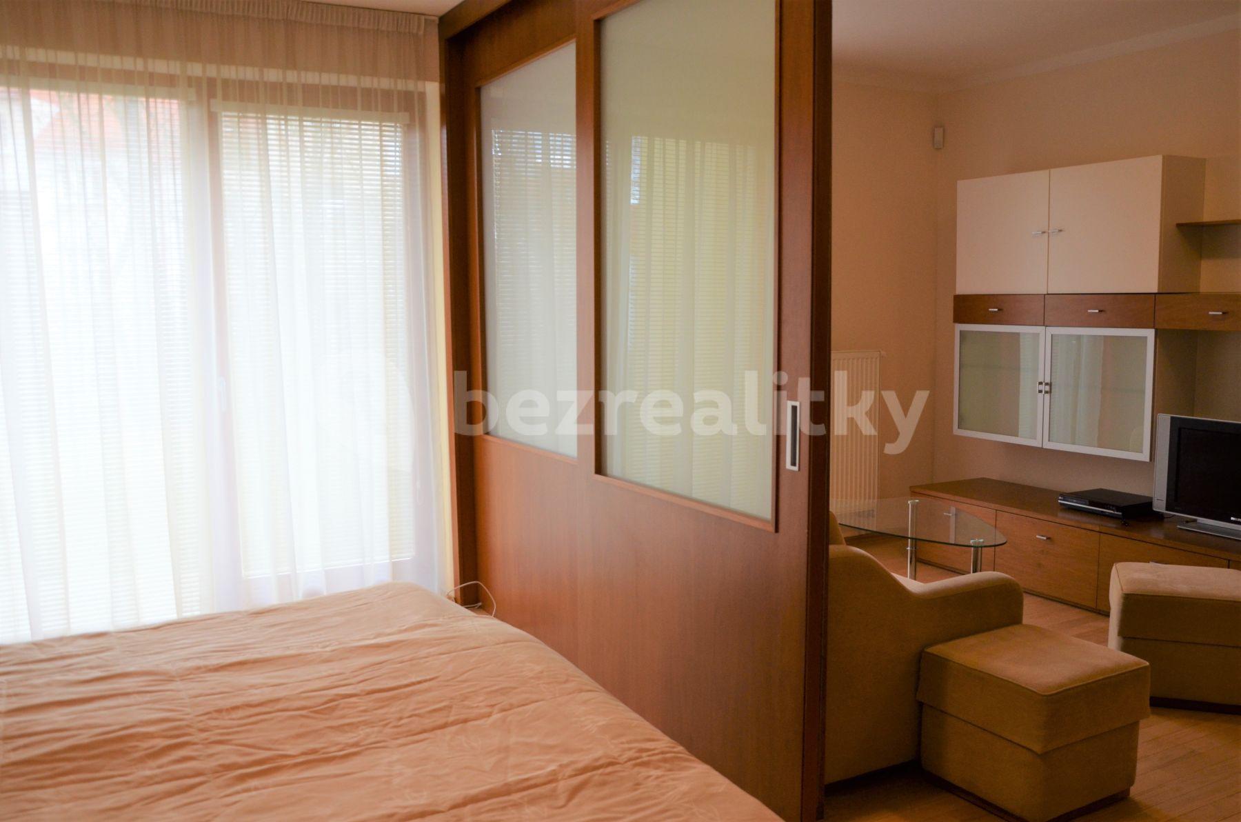 1 bedroom with open-plan kitchen flat to rent, 58 m², Pod Karlovem, Prague, Prague