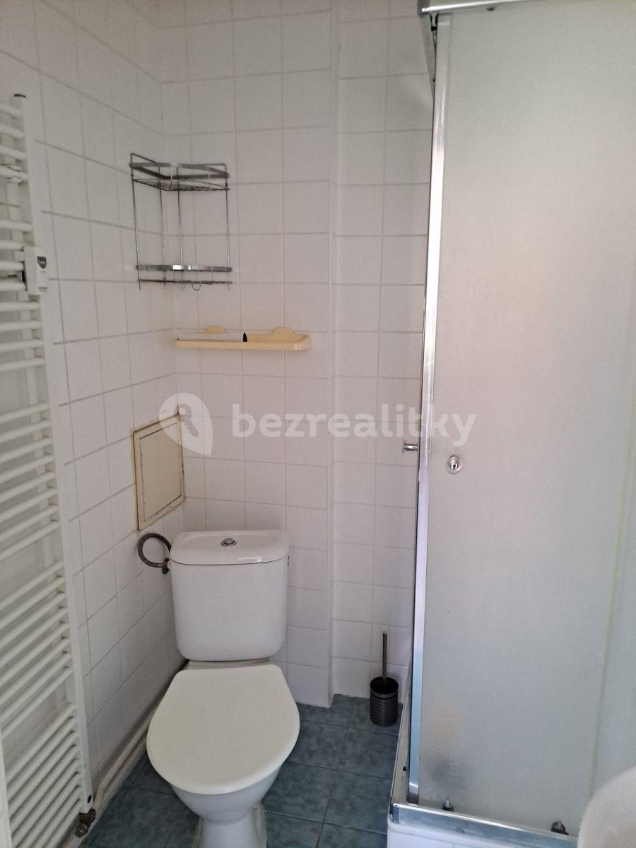 1 bedroom with open-plan kitchen flat to rent, 38 m², Kněžská, České Budějovice, Jihočeský Region