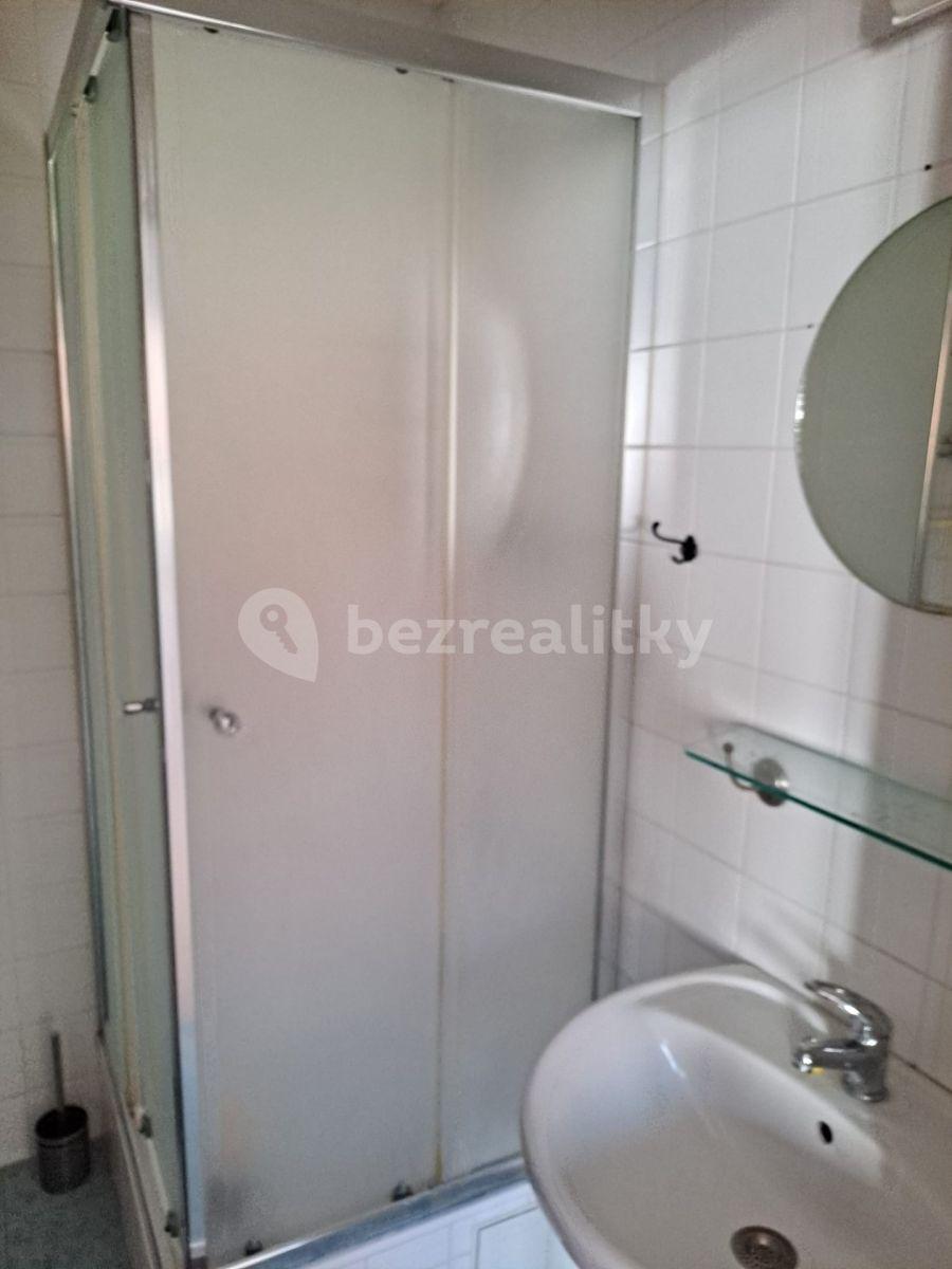 1 bedroom with open-plan kitchen flat to rent, 38 m², Kněžská, České Budějovice, Jihočeský Region