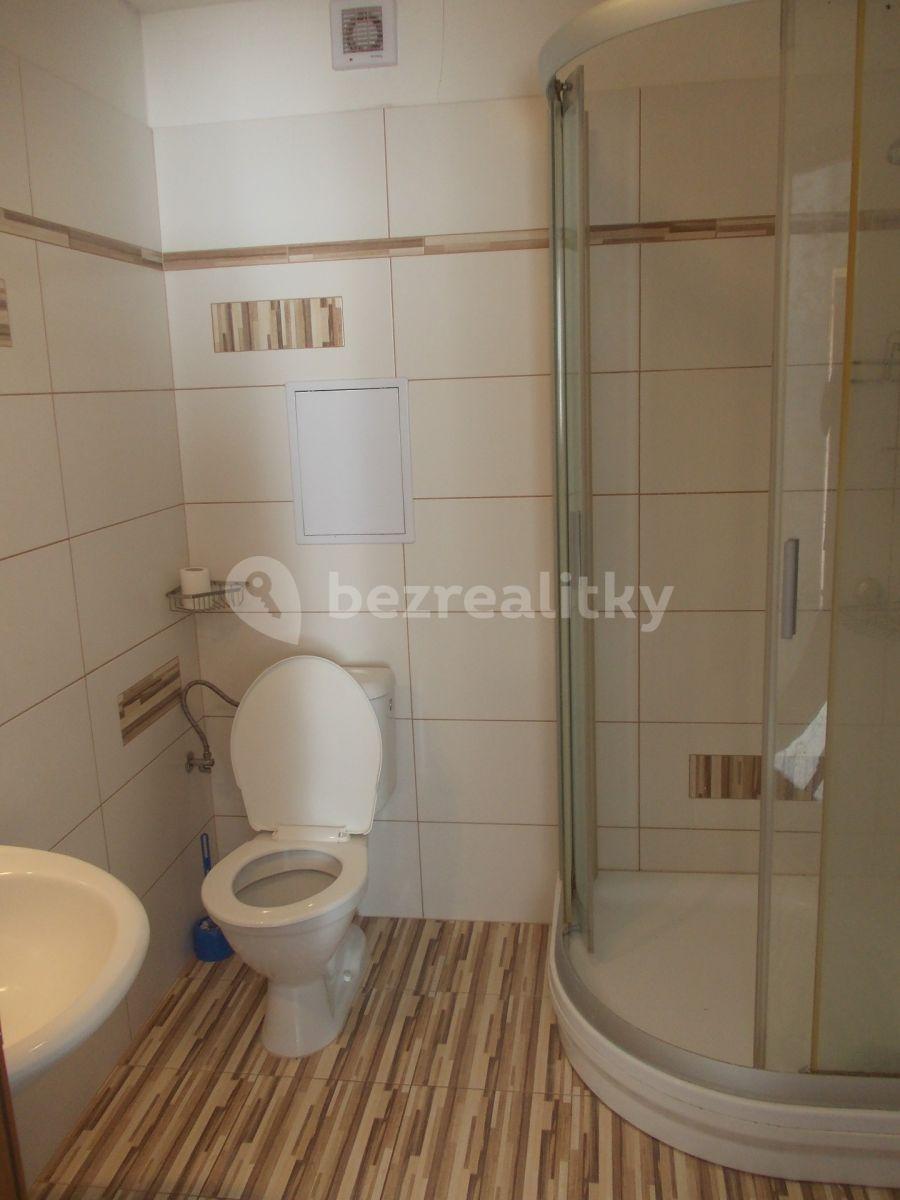 3 bedroom with open-plan kitchen flat to rent, 80 m², Bayerova, Brno, Jihomoravský Region