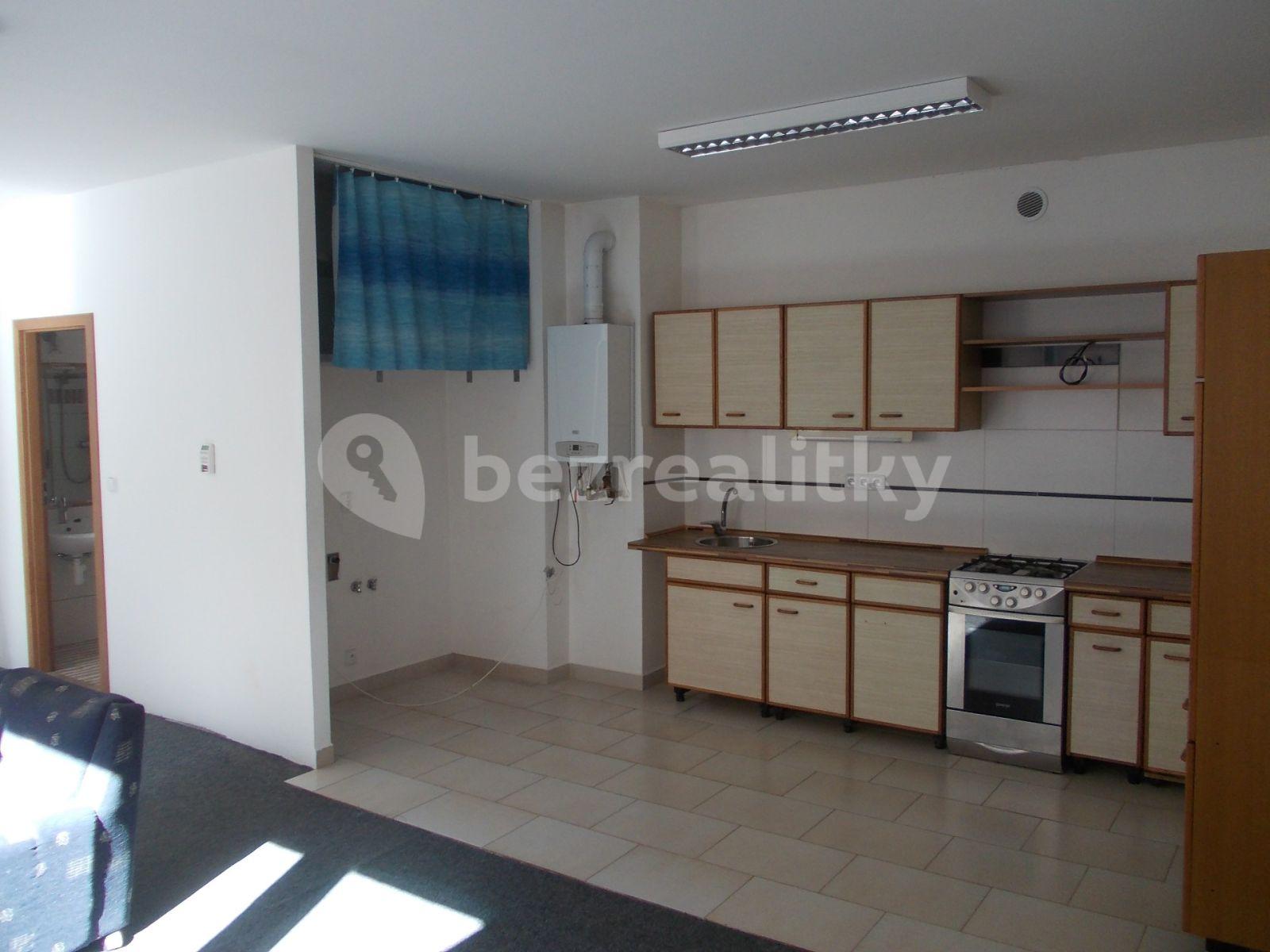 3 bedroom with open-plan kitchen flat to rent, 80 m², Bayerova, Brno, Jihomoravský Region