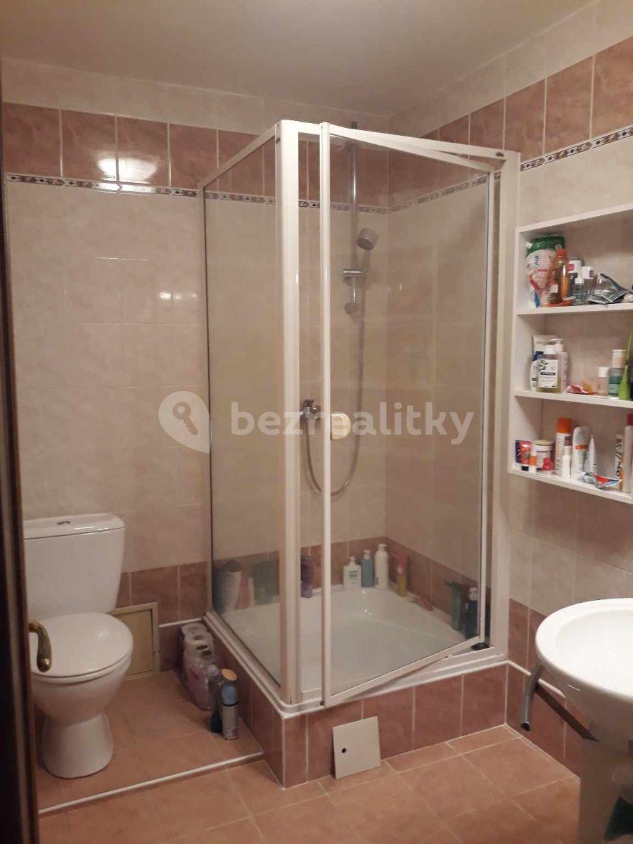 flat to rent, 305 m², Radlická, Prague, Prague