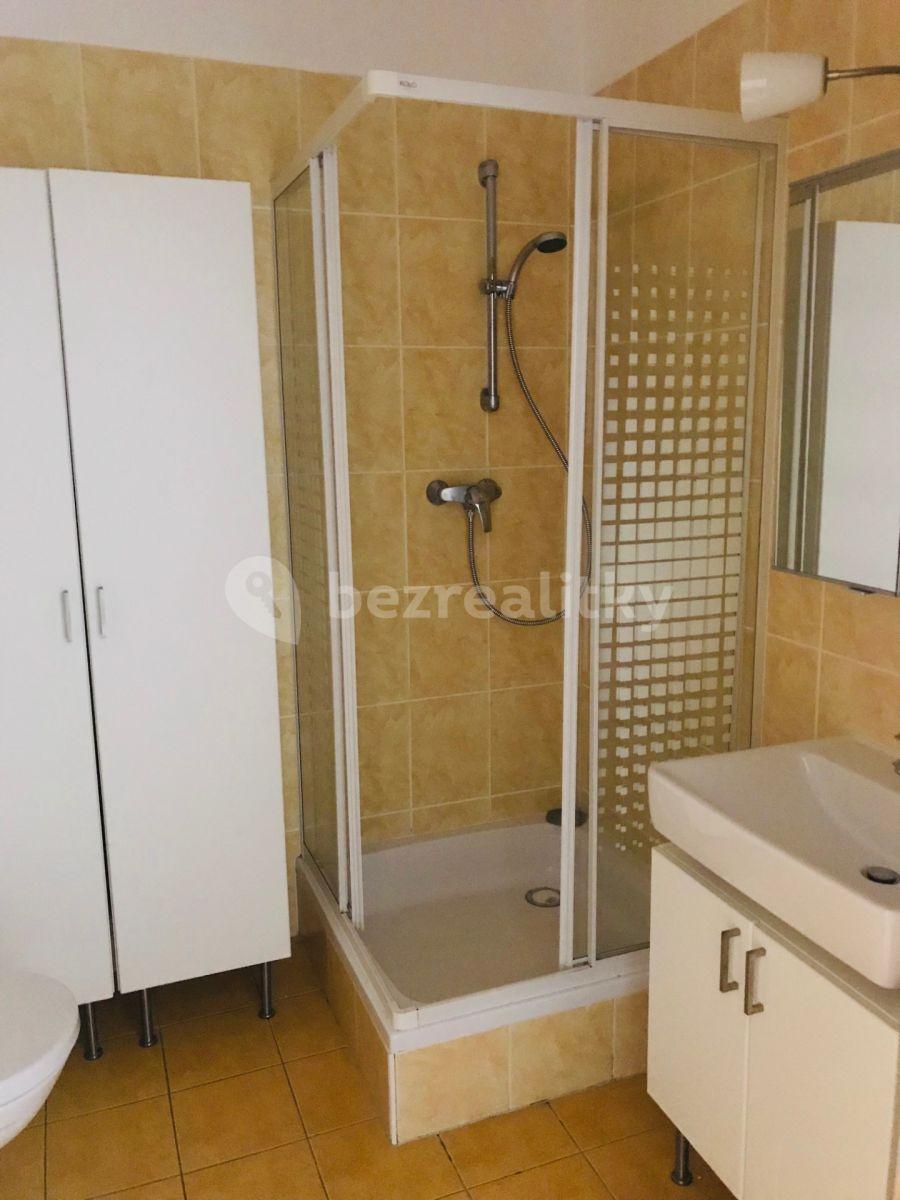 Studio flat to rent, 43 m², Třeboňská, Prague, Prague