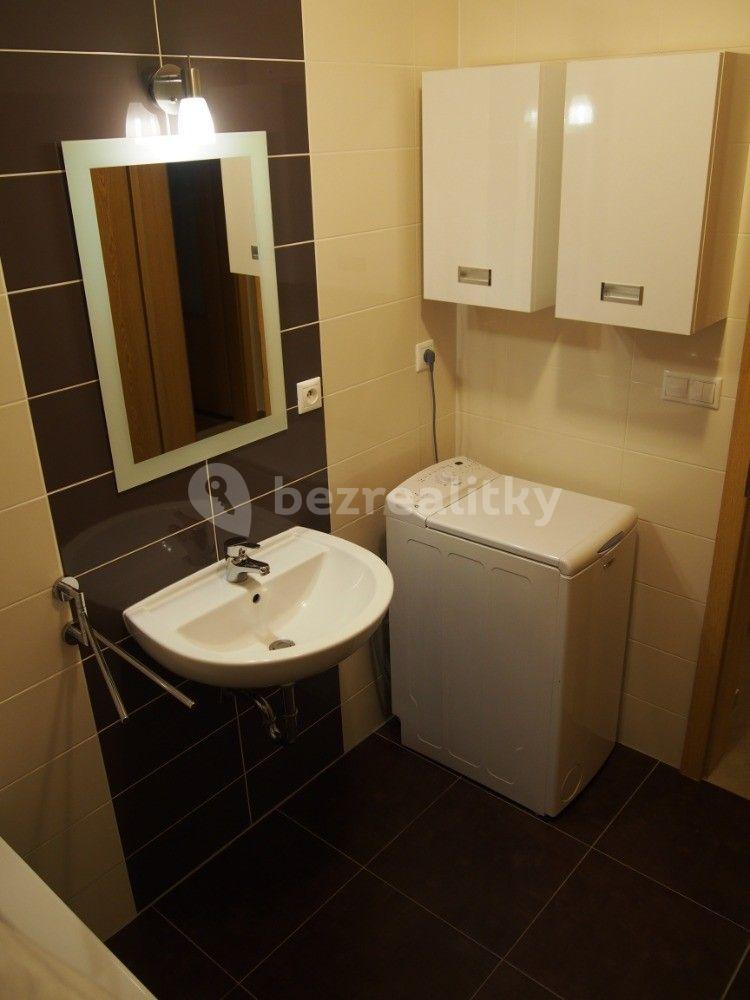 1 bedroom with open-plan kitchen flat to rent, 54 m², Říčanská, Brno, Jihomoravský Region