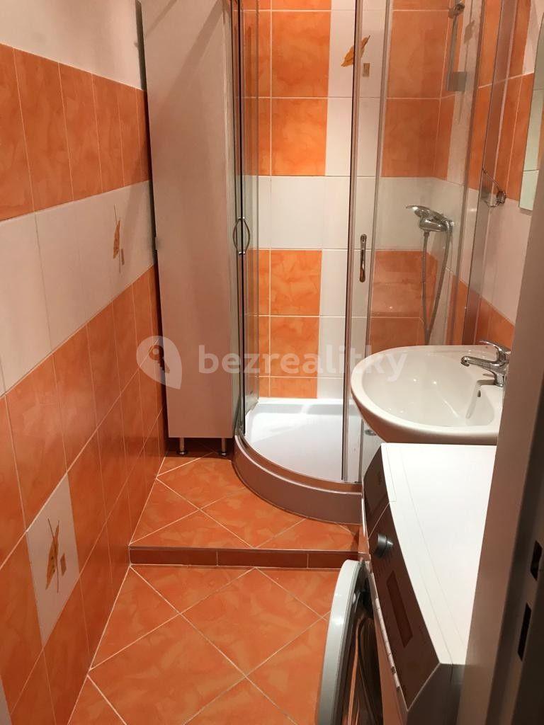 1 bedroom with open-plan kitchen flat to rent, 46 m², Dreyerova, Prague, Prague