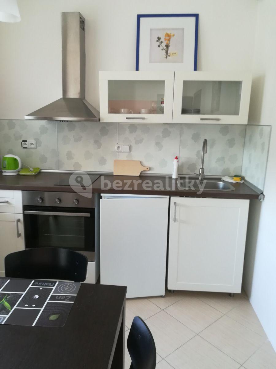 Studio flat to rent, 40 m², Nad Přehradou, Prague, Prague