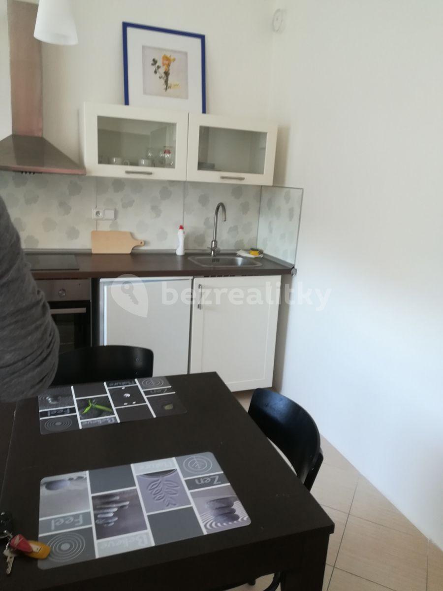 Studio flat to rent, 40 m², Nad Přehradou, Prague, Prague