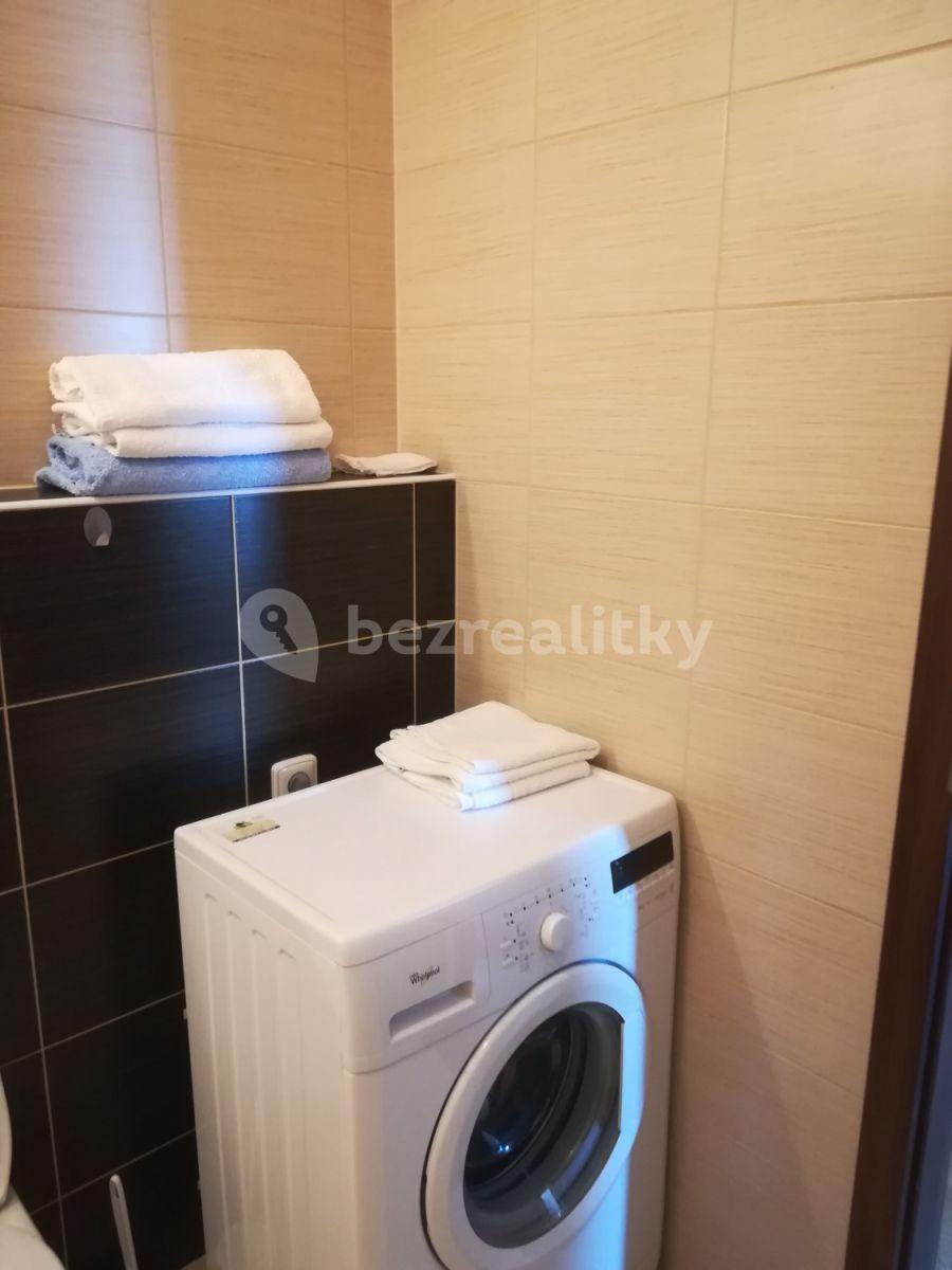 Studio flat to rent, 40 m², Nad Přehradou, Prague, Prague