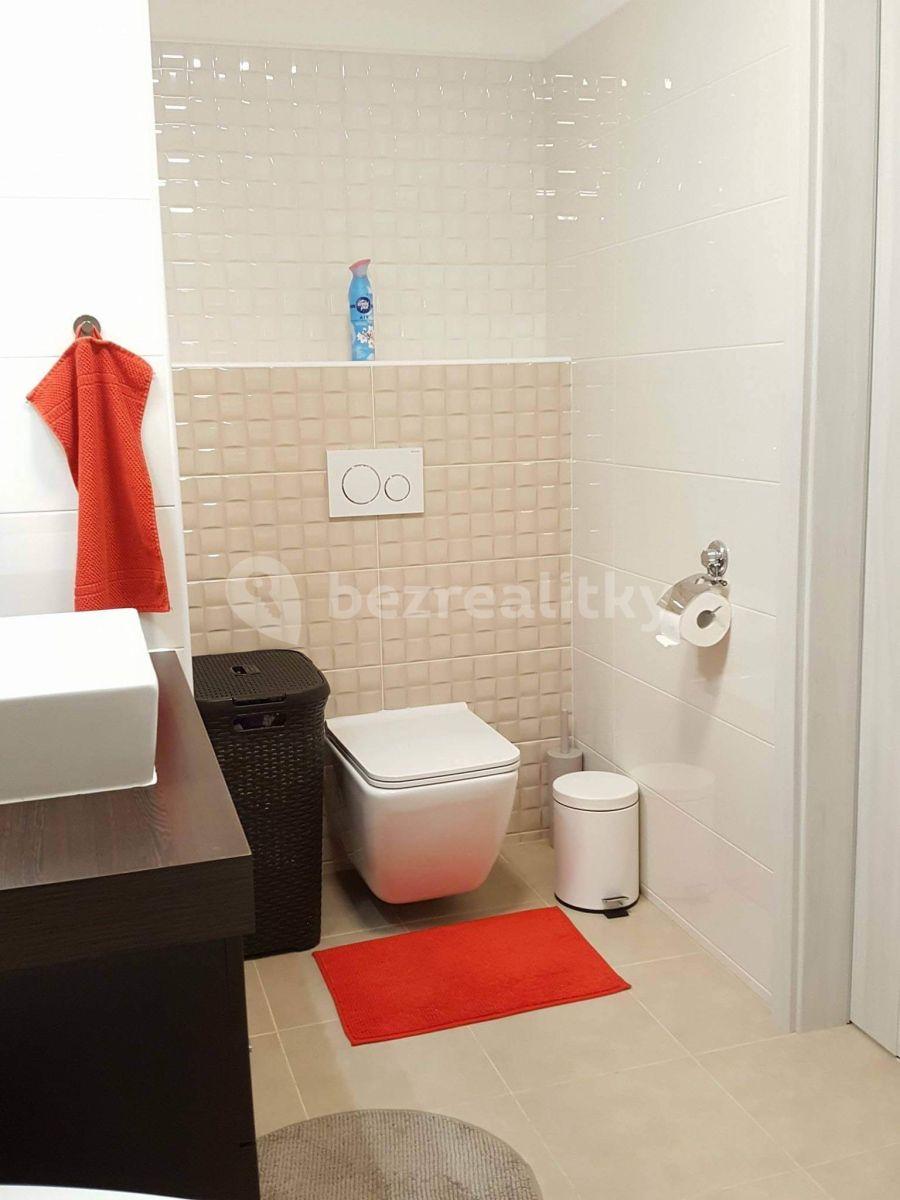 1 bedroom with open-plan kitchen flat to rent, 43 m², Jana Palacha, Mladá Boleslav, Středočeský Region