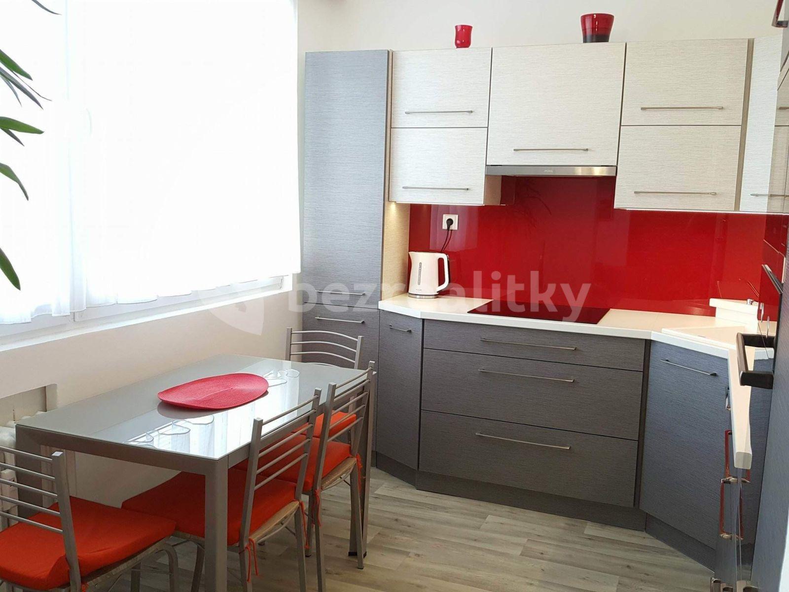 1 bedroom with open-plan kitchen flat to rent, 43 m², Jana Palacha, Mladá Boleslav, Středočeský Region