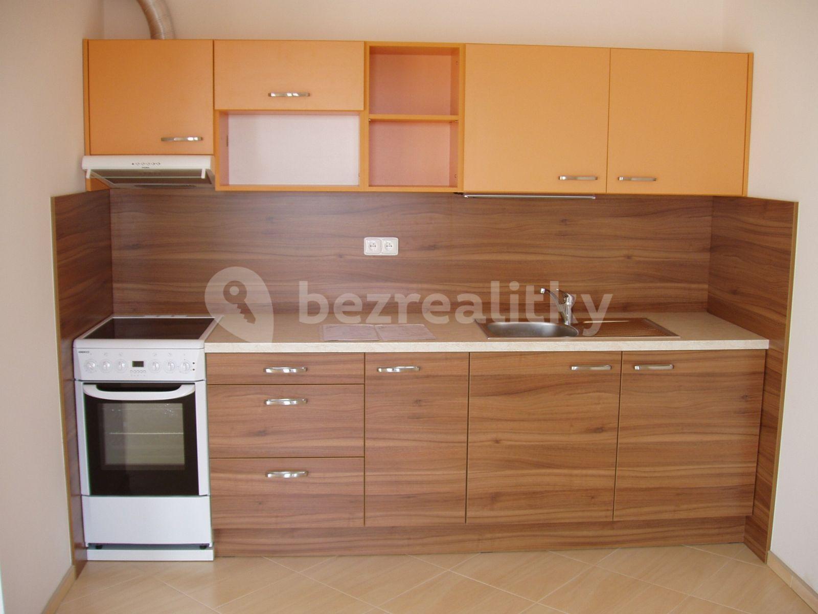 1 bedroom with open-plan kitchen flat to rent, 64 m², Pospíchalova, Prague, Prague