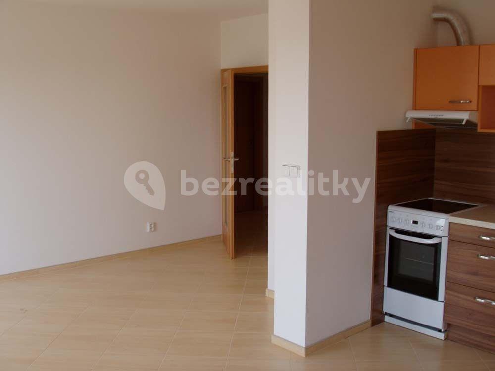 1 bedroom with open-plan kitchen flat to rent, 64 m², Pospíchalova, Prague, Prague