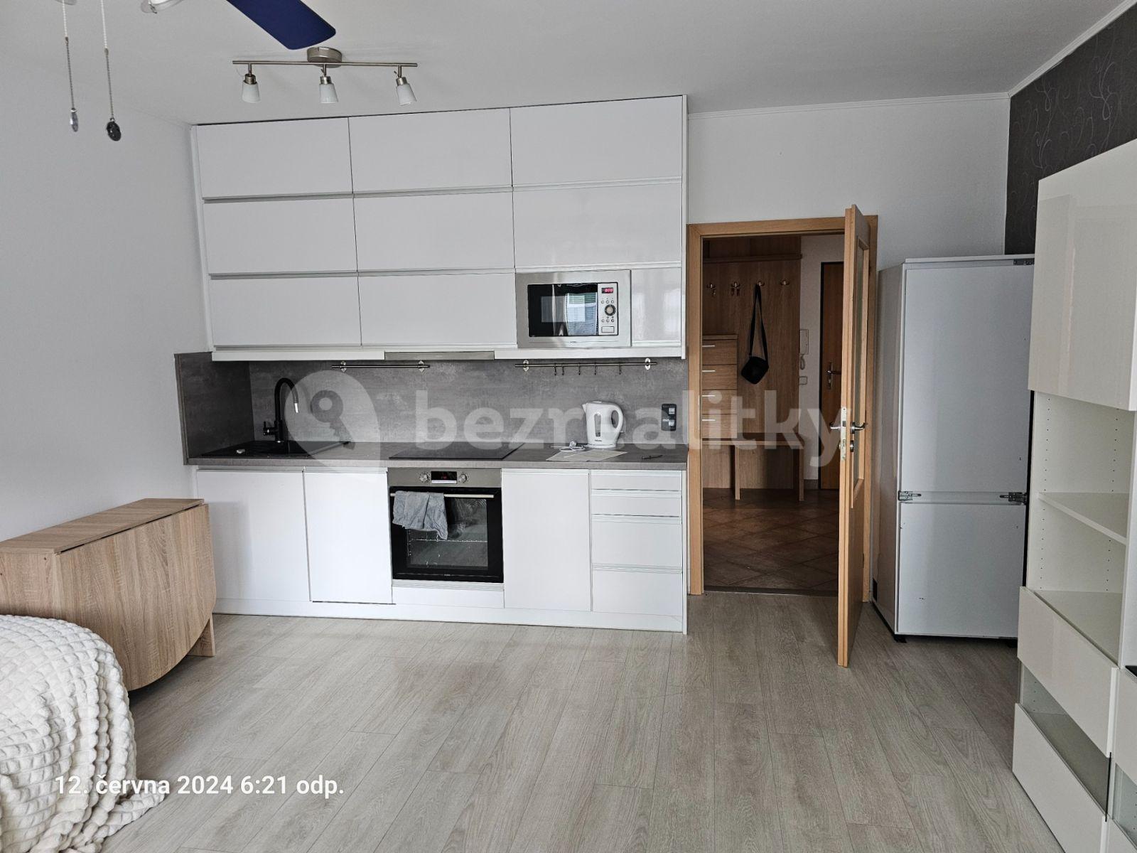 1 bedroom with open-plan kitchen flat to rent, 48 m², Martinická, Prague, Prague