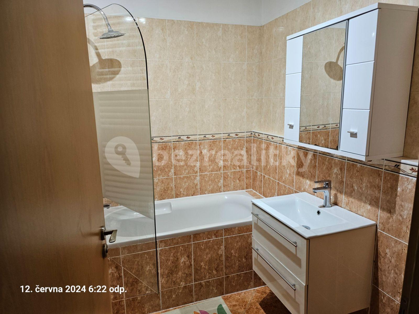 1 bedroom with open-plan kitchen flat to rent, 48 m², Martinická, Prague, Prague