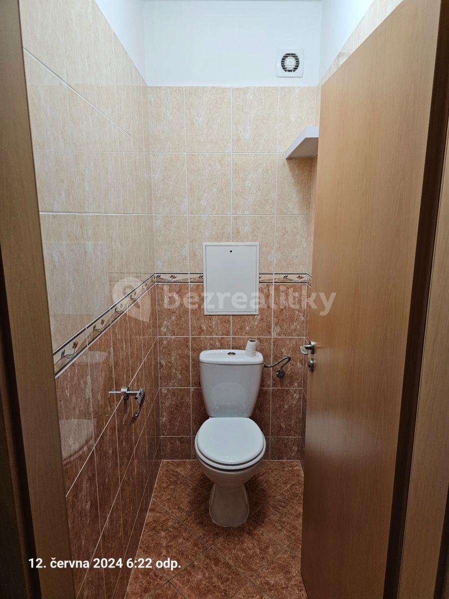 1 bedroom with open-plan kitchen flat to rent, 48 m², Martinická, Prague, Prague