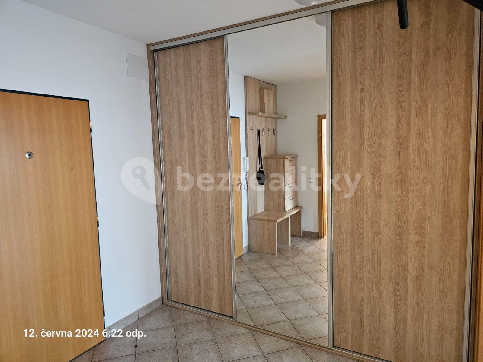 1 bedroom with open-plan kitchen flat to rent, 48 m², Martinická, Prague, Prague