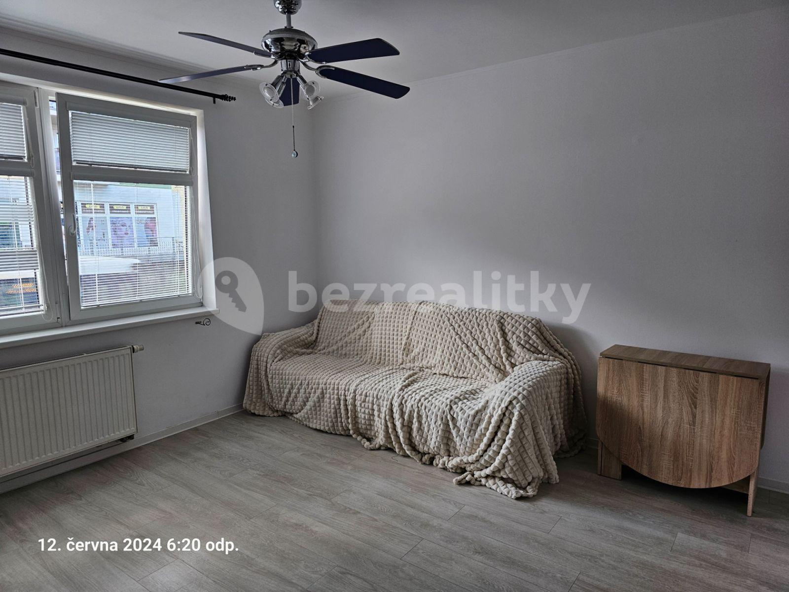 1 bedroom with open-plan kitchen flat to rent, 48 m², Martinická, Prague, Prague