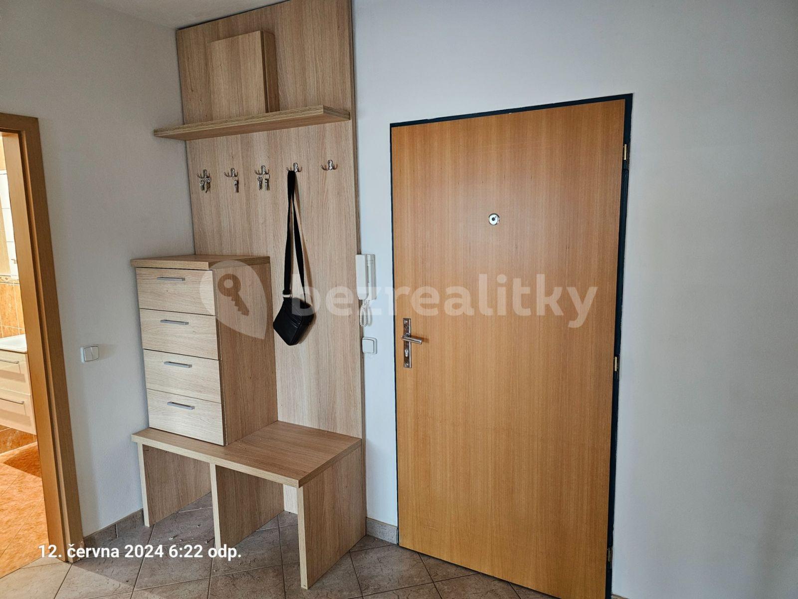 1 bedroom with open-plan kitchen flat to rent, 48 m², Martinická, Prague, Prague