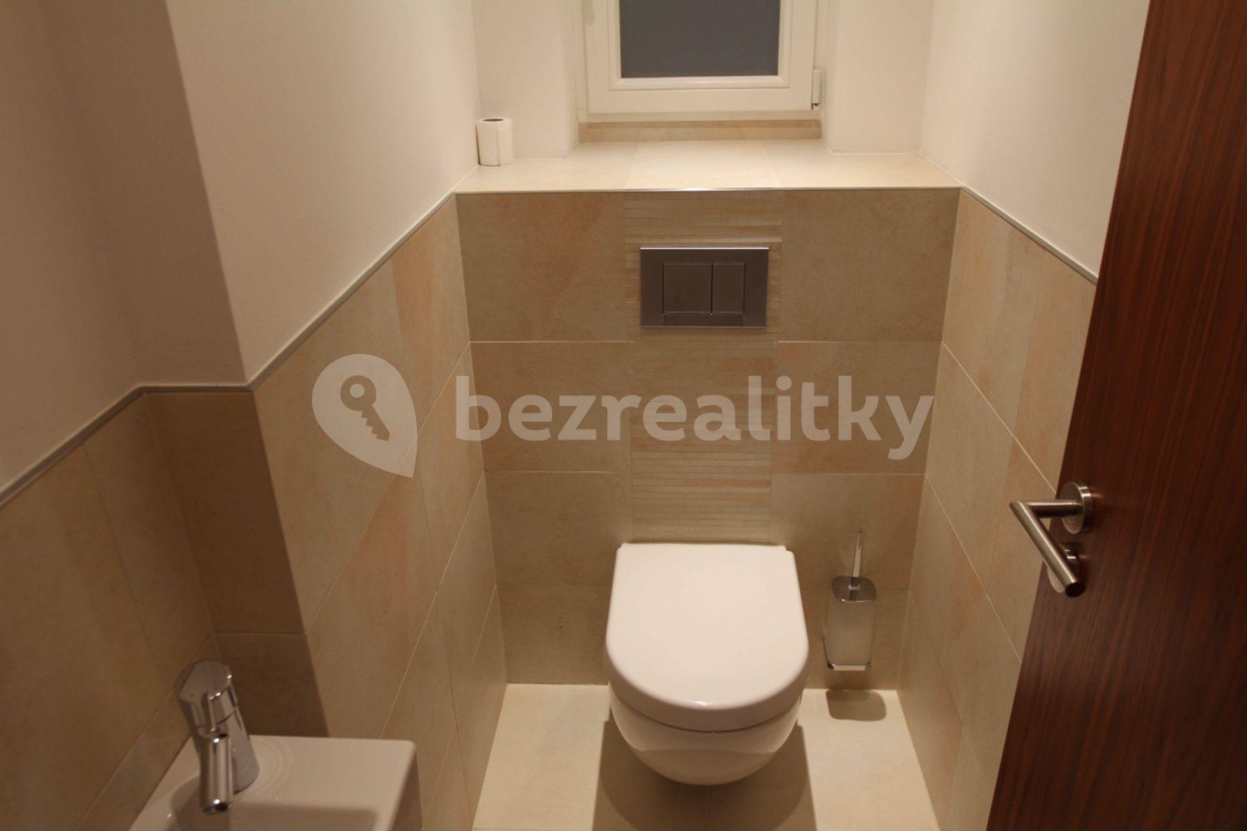 1 bedroom with open-plan kitchen flat to rent, 103 m², U Družstva Ideál, Prague, Prague