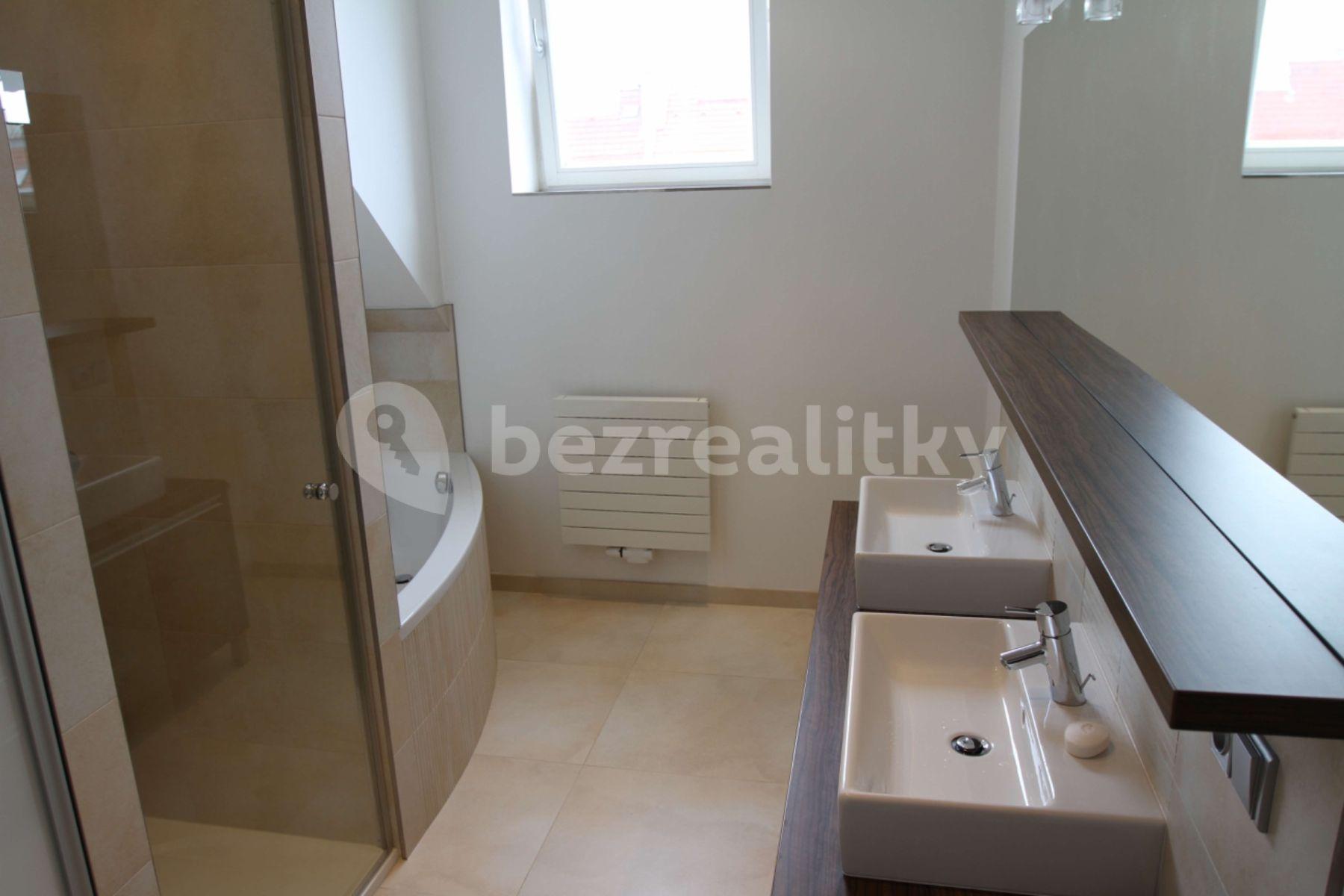 1 bedroom with open-plan kitchen flat to rent, 103 m², U Družstva Ideál, Prague, Prague