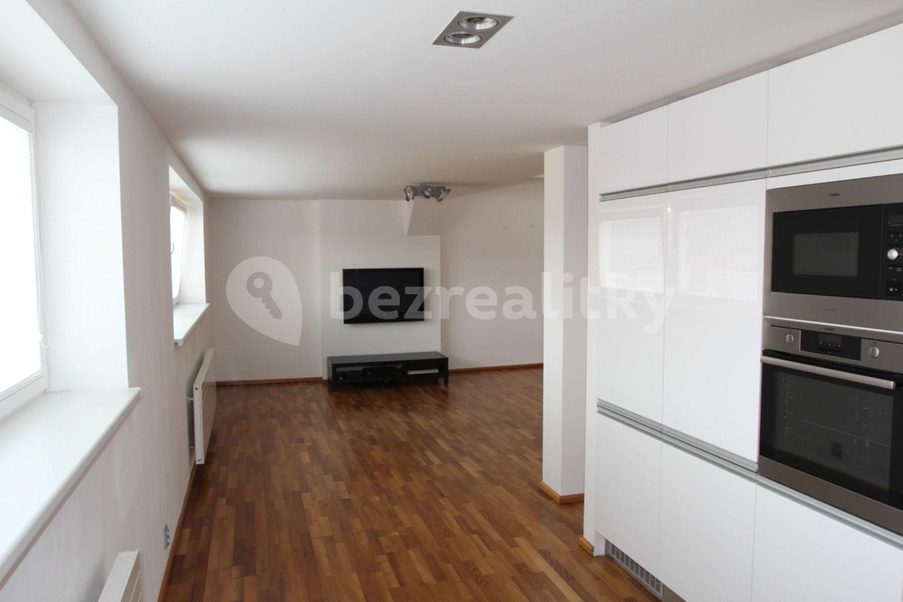 1 bedroom with open-plan kitchen flat to rent, 103 m², U Družstva Ideál, Prague, Prague