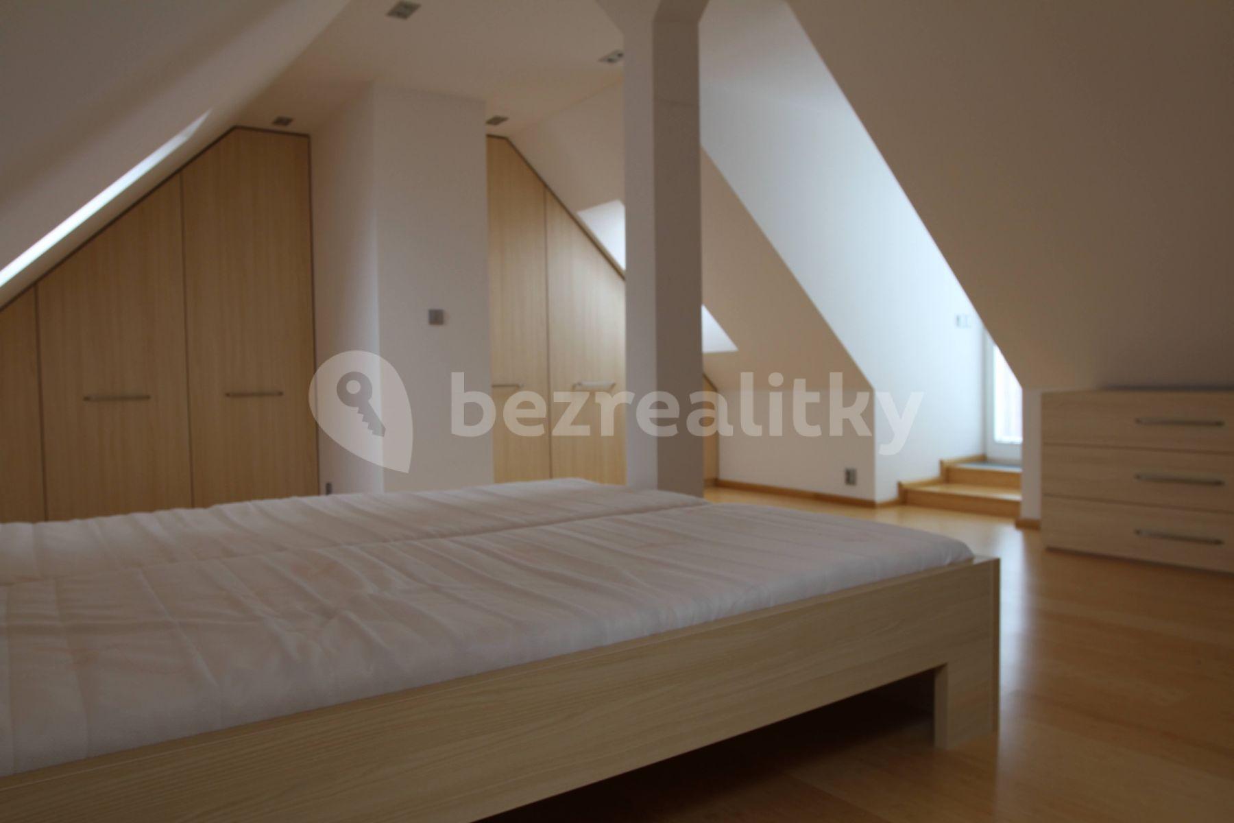 1 bedroom with open-plan kitchen flat to rent, 103 m², U Družstva Ideál, Prague, Prague