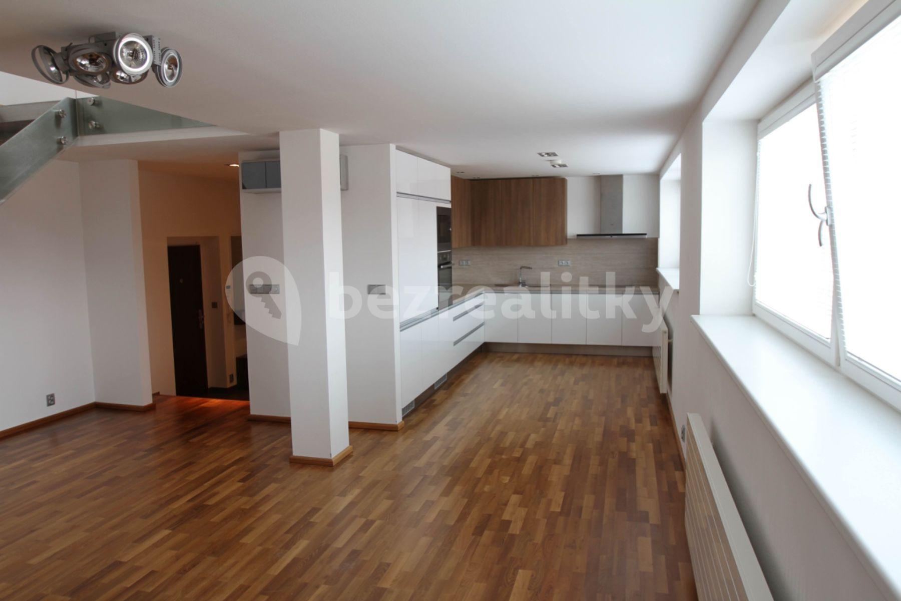 1 bedroom with open-plan kitchen flat to rent, 103 m², U Družstva Ideál, Prague, Prague