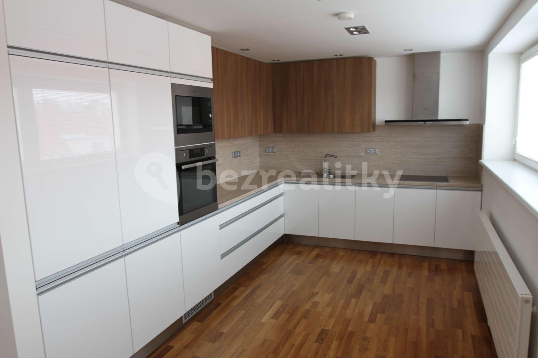 1 bedroom with open-plan kitchen flat to rent, 103 m², U Družstva Ideál, Prague, Prague