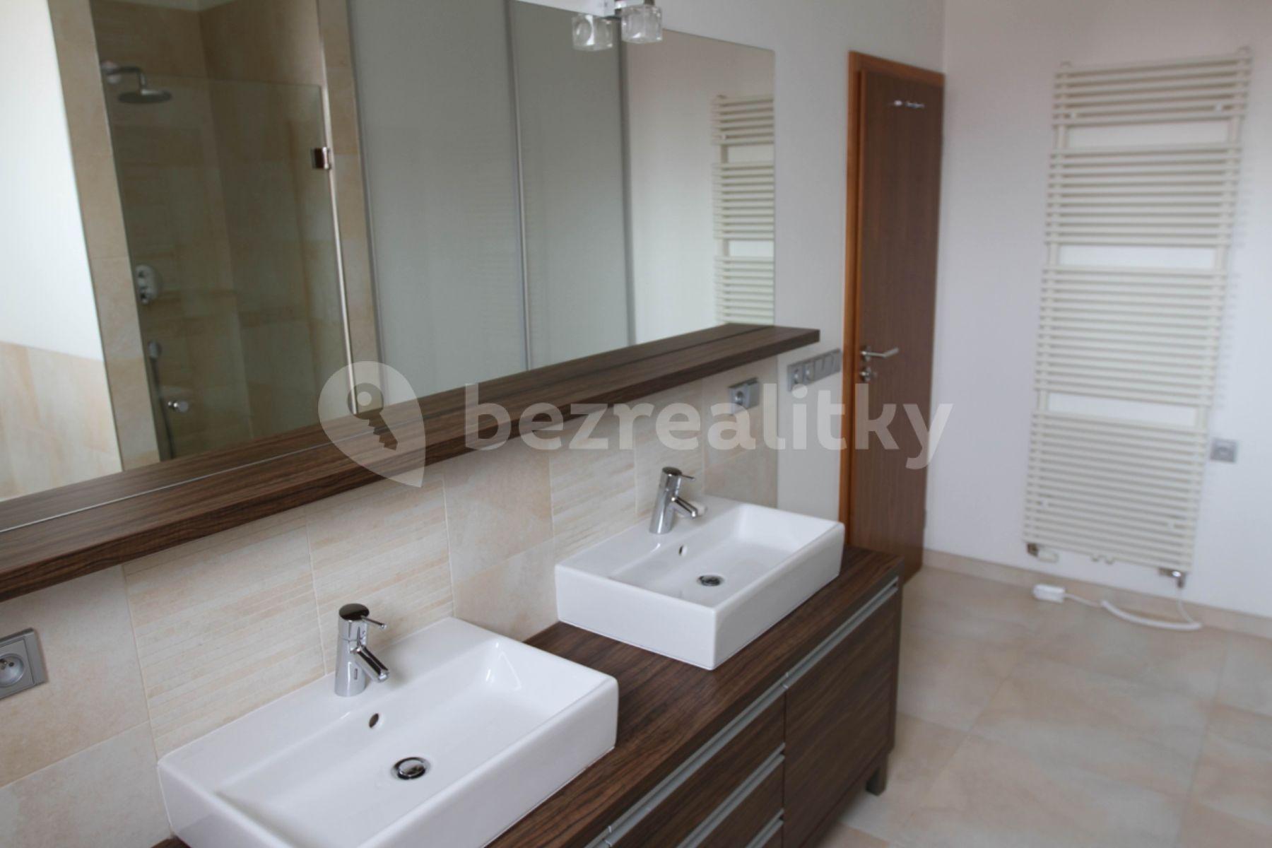 1 bedroom with open-plan kitchen flat to rent, 103 m², U Družstva Ideál, Prague, Prague